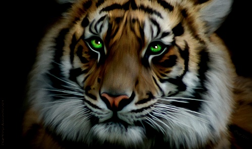 Eye of the Tiger